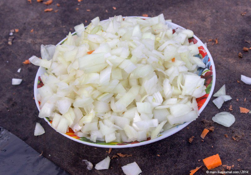 Плов с мидиями «под дулами автоматов». Много фото Плов с мидиями «под дулами автоматов». Много фото