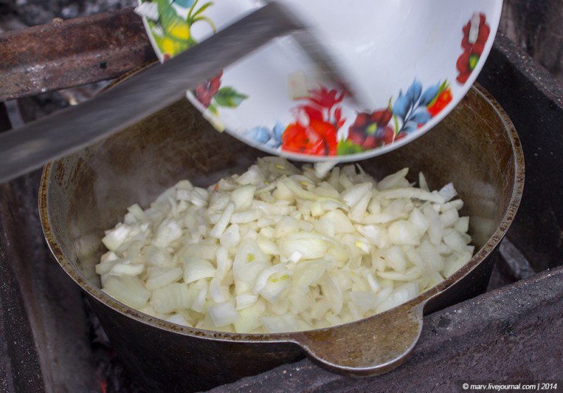 Плов с мидиями «под дулами автоматов». Много фото Плов с мидиями «под дулами автоматов». Много фото