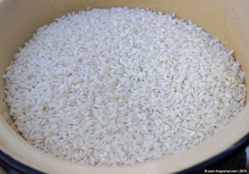 Плов с мидиями «под дулами автоматов». Много фото Плов с мидиями «под дулами автоматов». Много фото