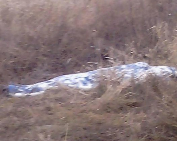 КРАЗ нацгвардии подорвался на фугасе у Бахмутки в ЛНР КРАЗ нацгвардии подорвался на фугасе у Бахмутки в ЛНР