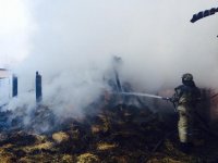 Сводки от ополчения Новоросси 05.12.2014 