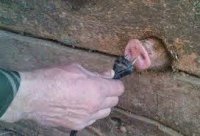 Энергетические "приколы" Украины (ЛугТЭС, Импорт электроэнергии из России, "Бурштынский остров")