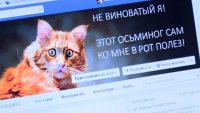 Самому знаменитому коту страны предлагают партбилет и главную роль