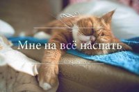 Нулевой этаж