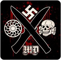 Ещё 2 фашиста из карательного батальона "АЗОВ" отправились в АД