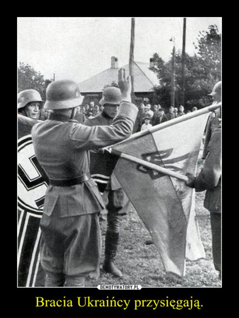 Польские демотиваторы: Украина, Россия, Польша 