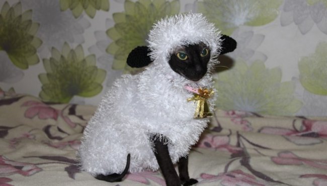 C Новым 2015 Годом!!! C Новым 2015 Годом!!!