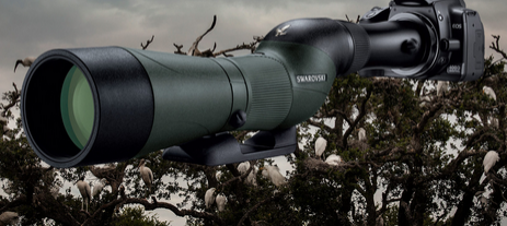 Походу в ЖЖ намечается небольшая революция Походу в ЖЖ намечается небольшая революция