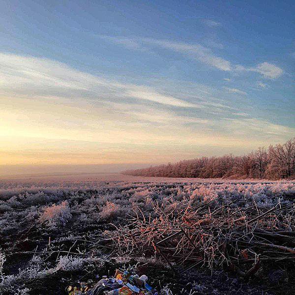 Сводки от ополчения Новороссии 03.01.2015 Сводки от ополчения Новороссии 03.01.2015