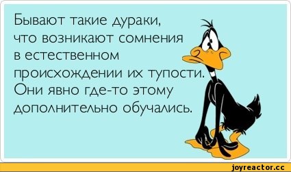Судя по излучаемой министром наивности, граничащей с идиотизмом, его покусал какой-то Яйценюк...