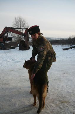 Сводки от ополчения Новороссии 18.01.2015 Сводки от ополчения Новороссии 18.01.2015