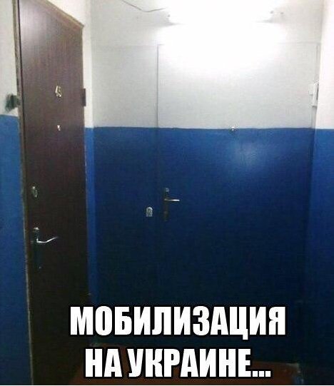 "Мыздобулы" в картинках. Смешных и не очень...19-01-2015