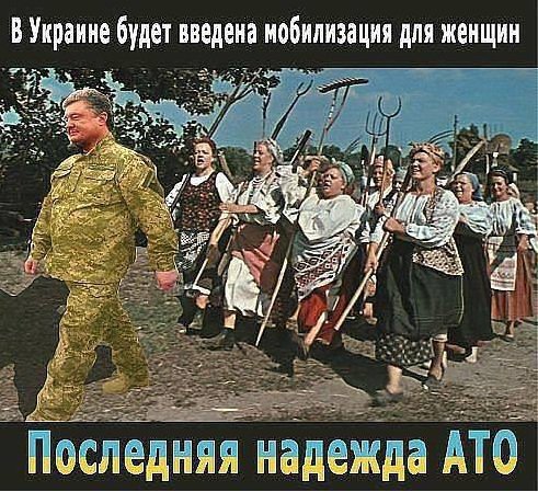 "Мыздобулы" в картинках. Смешных и не очень...19-01-2015