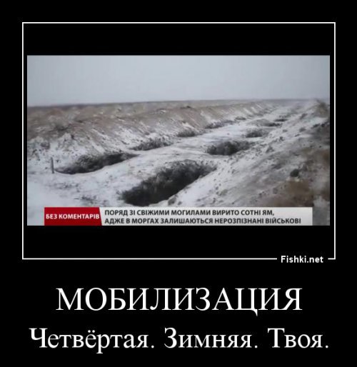 "Мыздобулы" в картинках. Смешных и не очень...19-01-2015