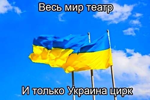 "Мыздобулы" в картинках. Смешных и не очень...19-01-2015