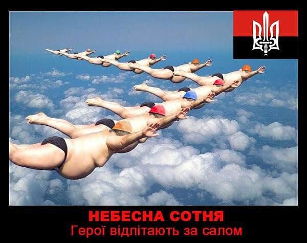 "Мыздобулы" в картинках. Смешных и не очень...19-01-2015