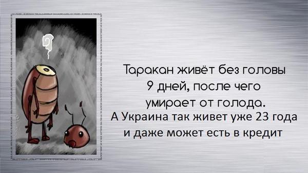 "Мыздобулы" в картинках. Смешных и не очень...19-01-2015