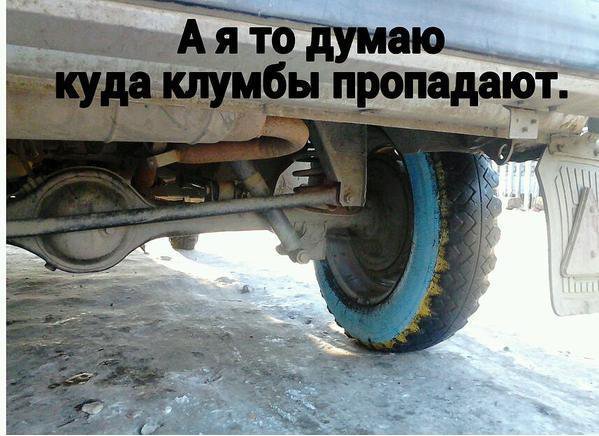 "Мыздобулы" в картинках. Смешных и не очень...19-01-2015