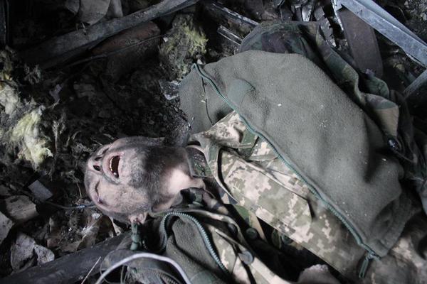 Киборги не умирают - они превращаются в тушканчиков Киборги не умирают - они превращаются в тушканчиков