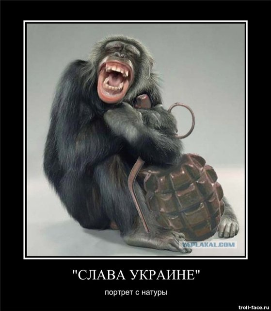 Подборка картинок смешных и не очень Подборка картинок смешных и не очень