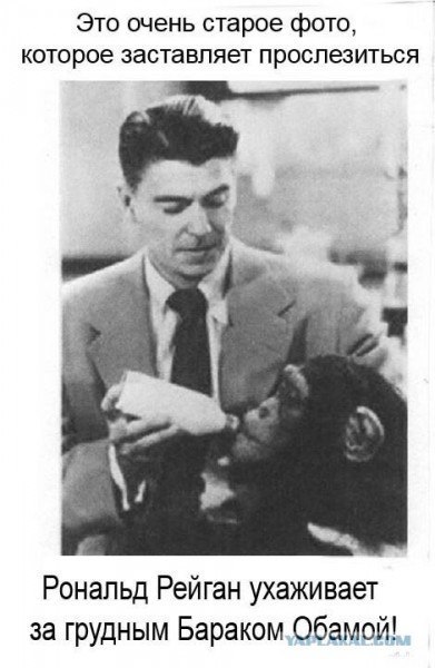 Подборка картинок смешных и не очень Подборка картинок смешных и не очень