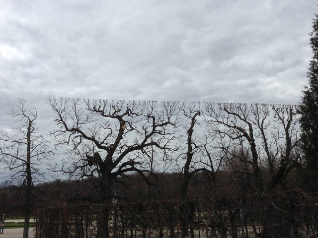 Мы живём в виртуальной реальности: 7 багов матрицы