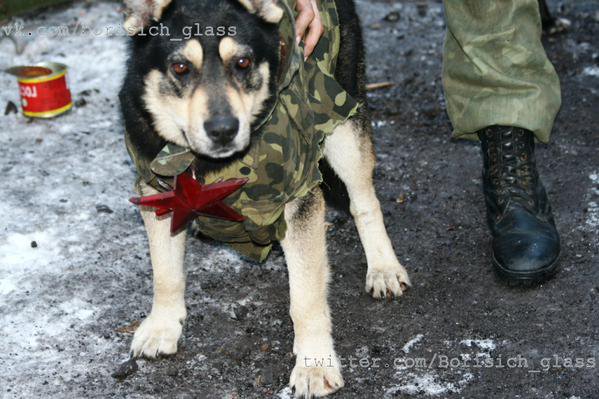 Ну чего... несколько картинок с того боя... Ну чего... несколько картинок с того боя...