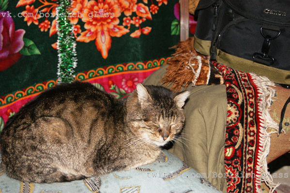 Ну чего... несколько картинок с того боя... Ну чего... несколько картинок с того боя...