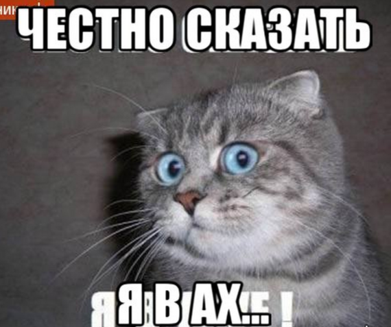 Жена мобилизованного: Мне не страшно за него, потому что у меня уже погибли брат и кум Жена мобилизованного: Мне не страшно за него, потому что у меня уже погибли брат и кум