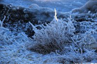 Красота зимнего Севастополя. Фоторепортаж