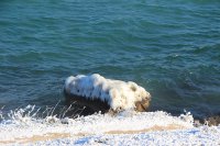 Красота зимнего Севастополя. Фоторепортаж