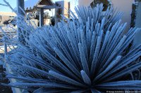 Красота зимнего Севастополя. Фоторепортаж