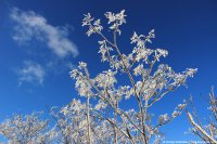 Красота зимнего Севастополя. Фоторепортаж