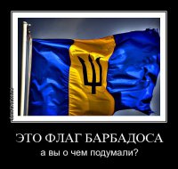 Косачев назвал слова Яценюка о вторжении СССР оправданием гитлеризма