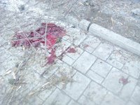 Сводки от ополчения Новороссии 26.01.2015