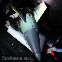 На Донбассе «Точка-У» сбита ракетным комплексом «Тор»