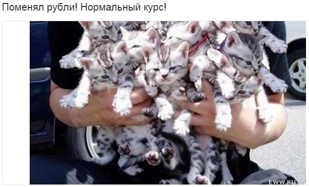 Хрюн Моржов - на манеже всё те же Хрюн Моржов - на манеже всё те же