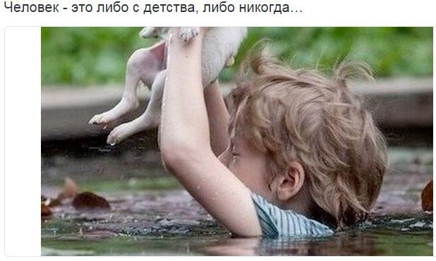 Хрюн Моржов - на манеже всё те же Хрюн Моржов - на манеже всё те же