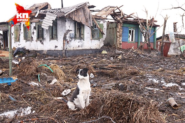 Сводки от ополчения Новороссии 02.02.2015 Сводки от ополчения Новороссии 02.02.2015
