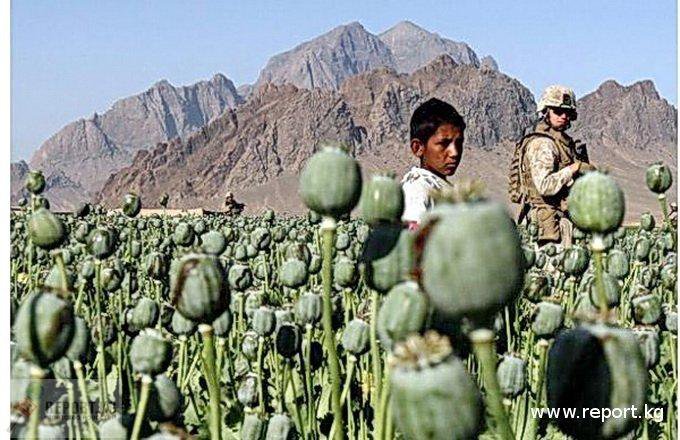 Иран на переднем крае борьбы с транзитом афганских наркотиков Иран на переднем крае борьбы с транзитом афганских наркотиков