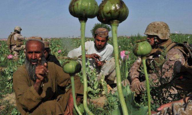 Иран на переднем крае борьбы с транзитом афганских наркотиков Иран на переднем крае борьбы с транзитом афганских наркотиков