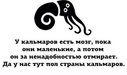 Подборка картинок, смешных и не очень Подборка картинок, смешных и не очень