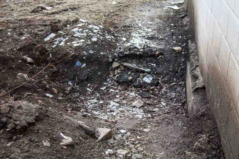 Нам здесь жить! Выпуск №1 Нам здесь жить! Выпуск №1