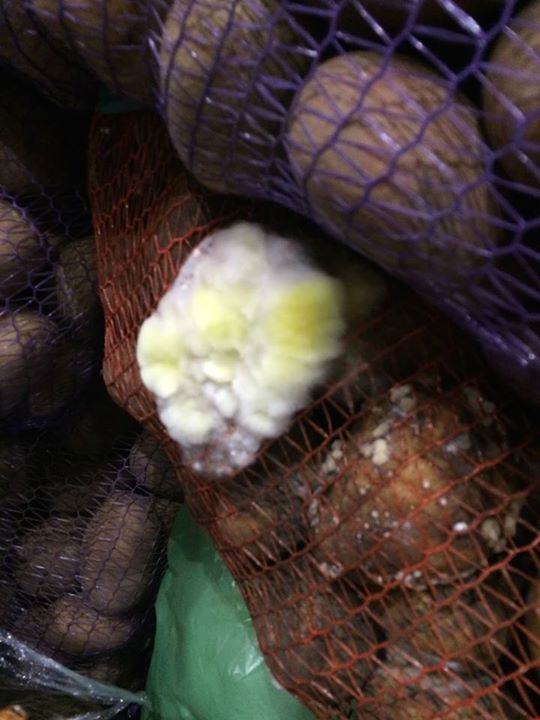 В Мариуполе нашли 40 тонн сгнивших овощей из украинской гумпомощи В Мариуполе нашли 40 тонн сгнивших овощей из украинской гумпомощи