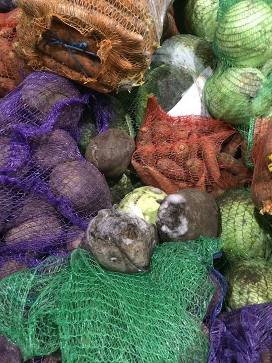 В Мариуполе нашли 40 тонн сгнивших овощей из украинской гумпомощи В Мариуполе нашли 40 тонн сгнивших овощей из украинской гумпомощи