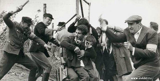 Сегодня Украина оказалась под властью бандеровцев. Они строят общество своей изуверской мечты.