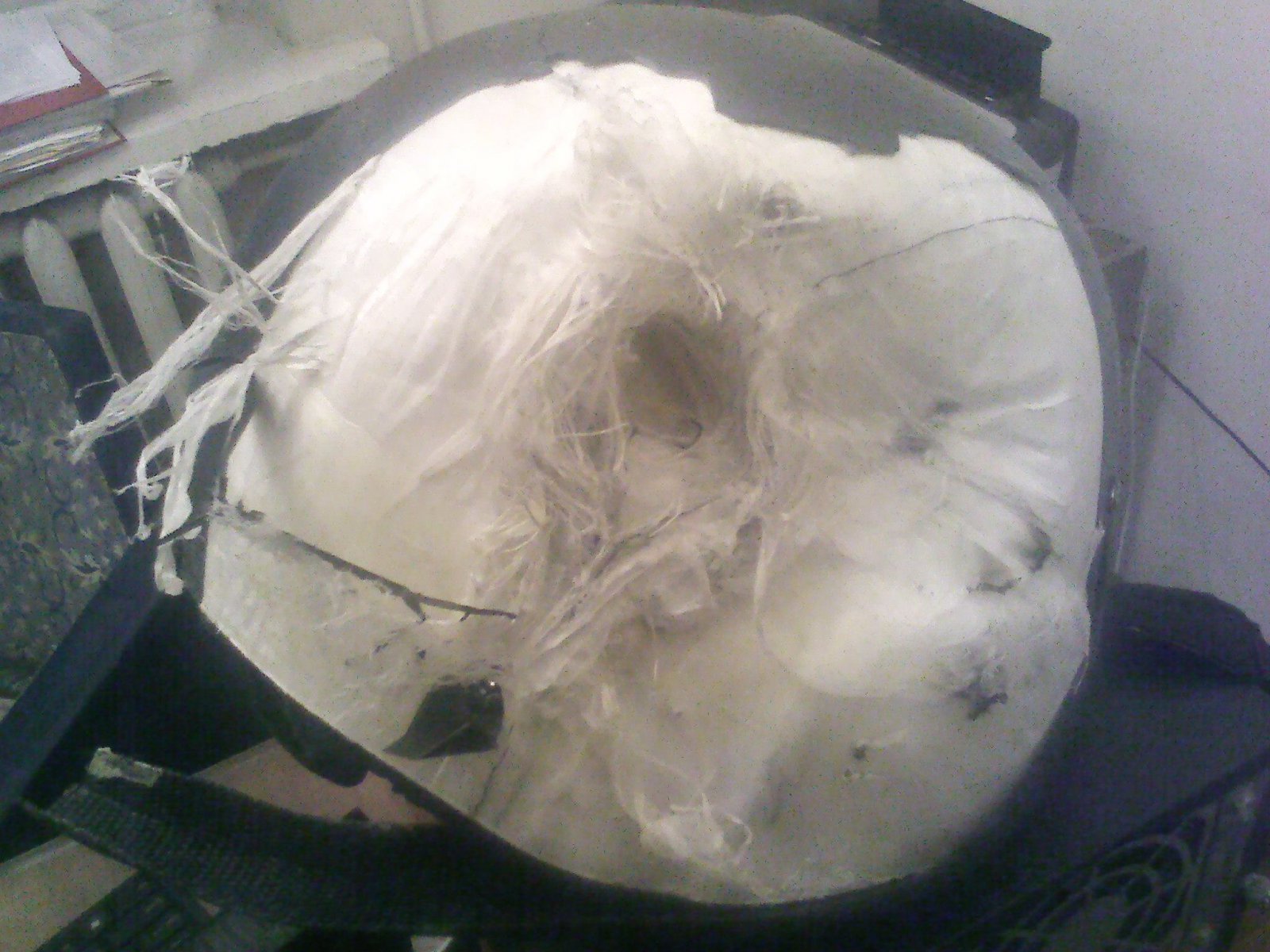 Новости из страны породистых скакунов 7-12-2015 Новости из страны породистых скакунов 7-12-2015