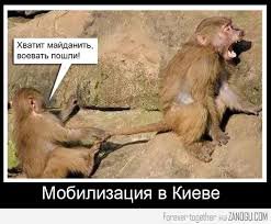 "Могилизация на Украине". Троллинг 90-го уровня. Картинки "Могилизация на Украине". Троллинг 90-го уровня. Картинки