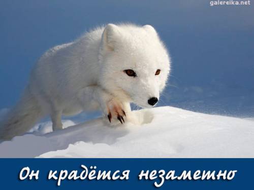 Коллапс приближается: Жители Украины бойкотируют оплату по выросшим тарифам