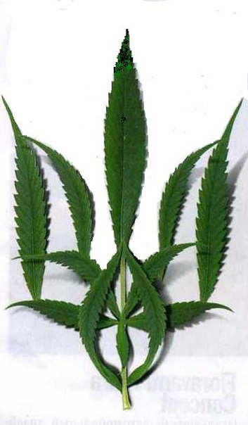 Путин угрожает нанести ядерные удары по Украине! Путин угрожает нанести ядерные удары по Украине!